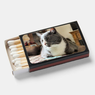 Cat Matchboxes