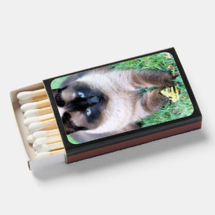 Cat matchboxes