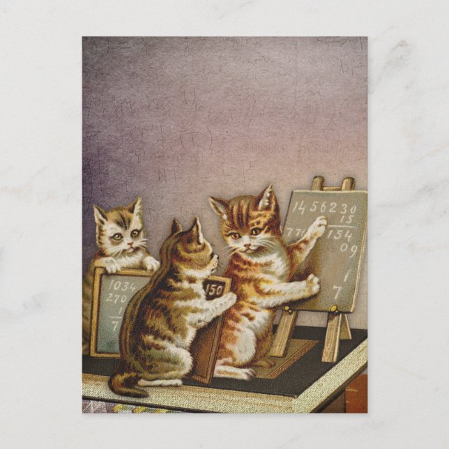 Cat math postcard (Front)