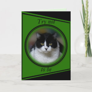 Cat, Max 1- customize for any occasion Card