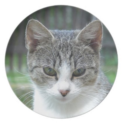 cat melamine plate