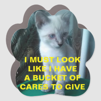 Cat Meme Bucket List Magnet