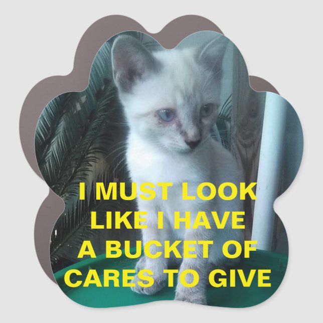 Cat Meme Bucket List Magnet (Front)