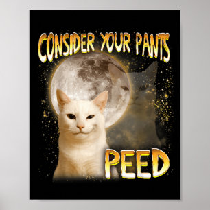 Cat Meme Cat Lover Cat Mom Funny Consider Your Pan Poster