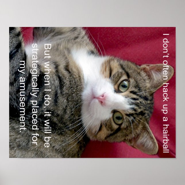 Cat Meme Poster (Front)