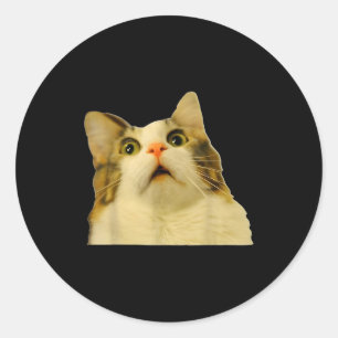 Cat Meme Shock Cat Face Funny Meme Cat Silly Gift Classic Round Sticker