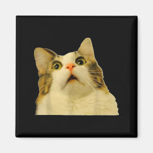 Cat Meme Shock Cat Face Funny Meme Cat Silly Gift Magnet