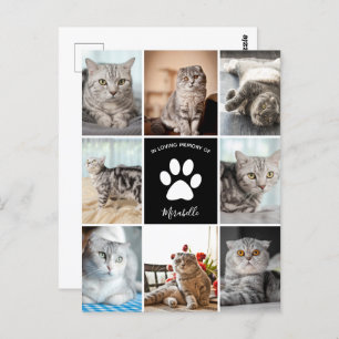 Cat Memorial Custom Photo Collage In Loving Memory Postcard