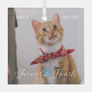 Cat Memorial Forever in our Hearts Photo and Name Glass Ornament