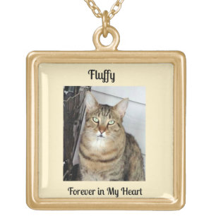 Cat Memorial Gift, Cat Photo Locket Necklace
