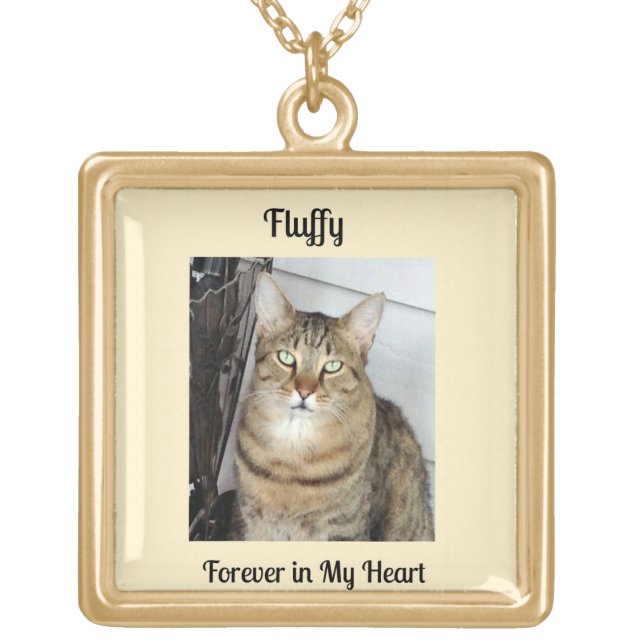 Cat Memorial Gift, Cat Photo Locket Necklace (Front)