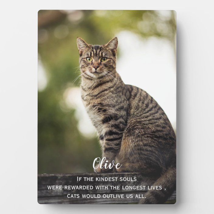 cat memorial plaques