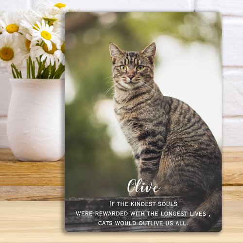 Cat Memorial Gift _Pet Loss Keepsake _Cat Sympathy Plaque