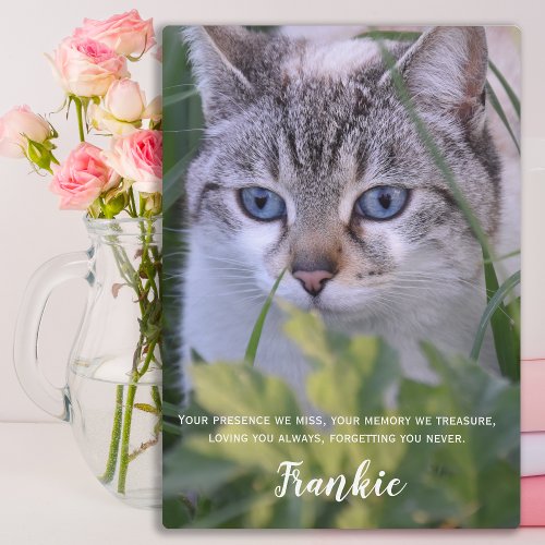 Cat Memorial Gift_ Pet Loss Keepsake_ Cat Sympathy Plaque