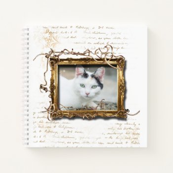 Cat Memorial Tribute Gifts | Photo White Notebook by petcherishedangels at Zazzle