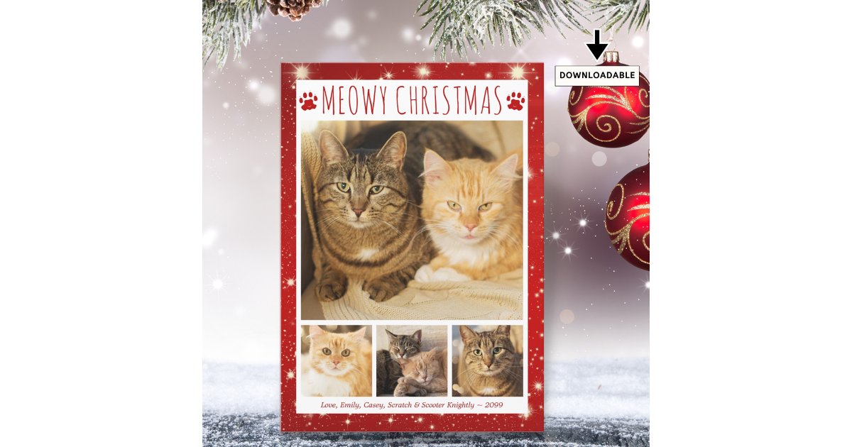 Cat MEOWY CHRISTMAS 4 Photos Red Pawprints Holiday Card | Zazzle