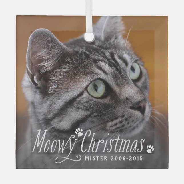 Cat Meowy Christmas Pet Memorial Photo Glass Ornament (Front)