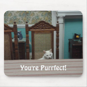 Cat message: "You're Purrfect!" Mouse Pad