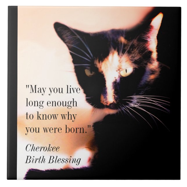 Cat Messenger Ceramic Tile (Front)