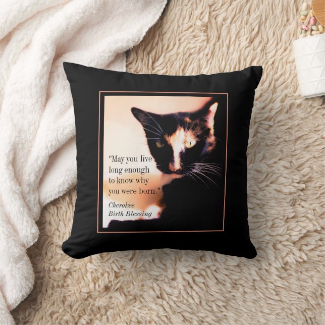 Cat Messenger Throw Pillow (Blanket)