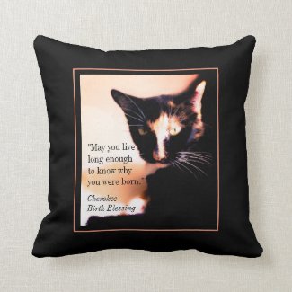 Cat Messenger Throw Pillow