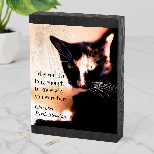 Cat Messenger Wooden Box Sign (In Situ Vertical)