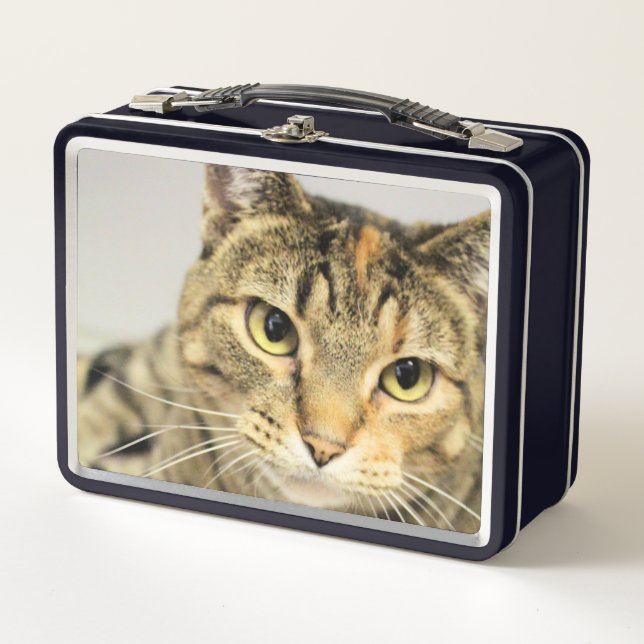 Cat Metal Lunch Box (Front)