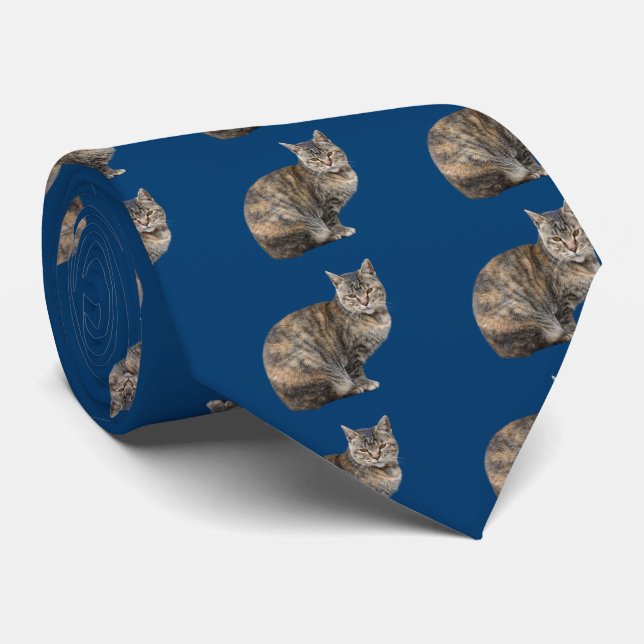 Cat (Mixed) Neck Tie (Rolled)
