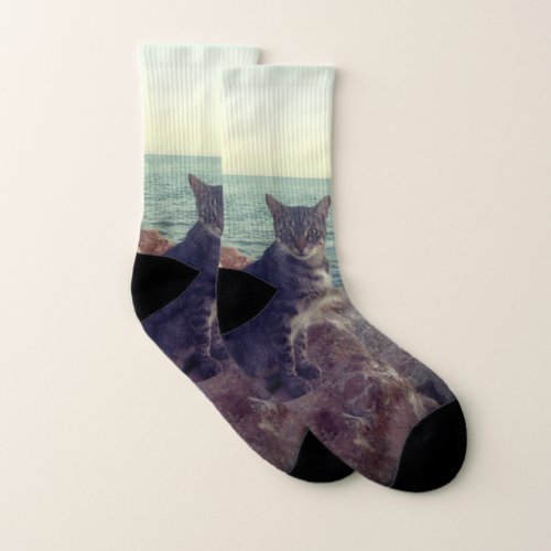 Cat model socks