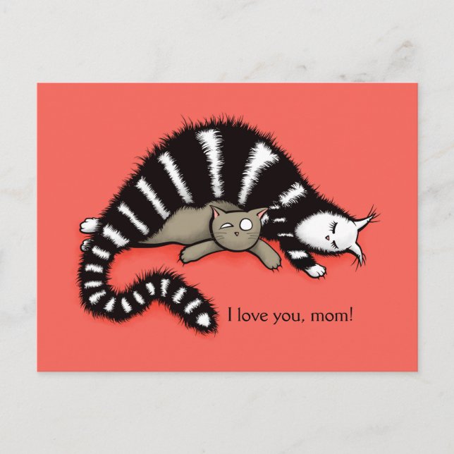 Cat Mother Protects Her Cute Kitty Love Mom Postcard (Front)
