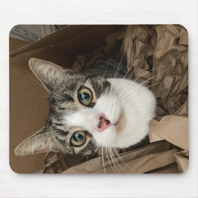 Cat Mouse Mat (Front)