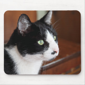 Cat Mouse Pad