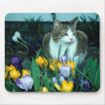 Cat Mouse Pad at Zazzle
