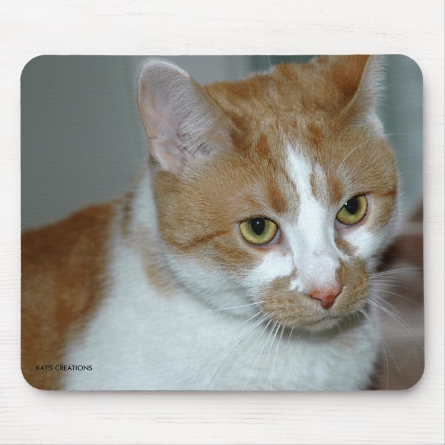 CAT MOUSE PAD (Front)