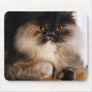 Cat Mouse Pad