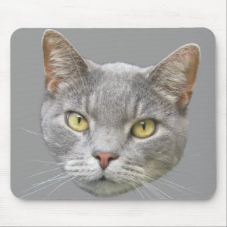 Cat Mouse Pad