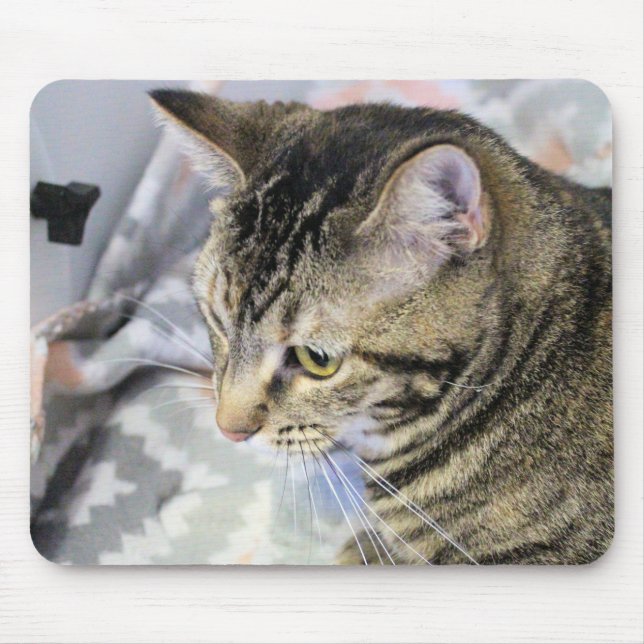 Cat Mouse Pad (Front)