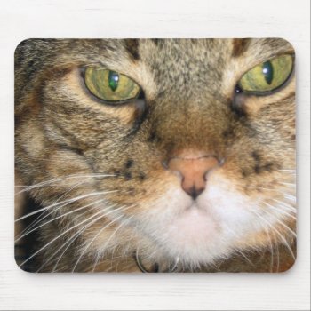 Cat Mouse Pad by DonnaGrayson at Zazzle