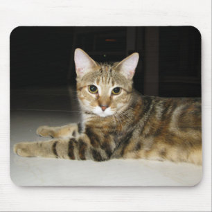 Cat Mouse Pad