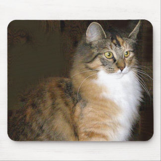 cat mouse pad