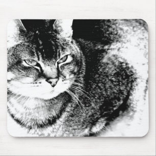 Cat Mousepad