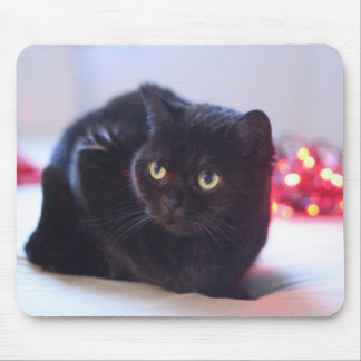 Cat Mousepad