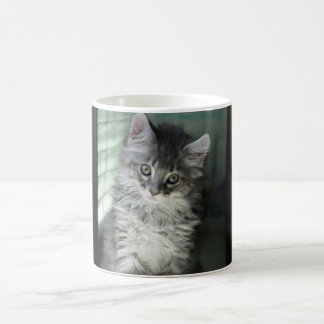 Cat Mug