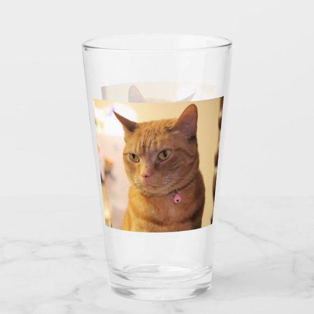 Cat Mug Glass (Front)