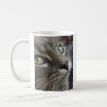 Cat Mug, I Believe In You, Motivational Mug