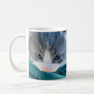 Cat Mug, Morning Mood, Funny Mug