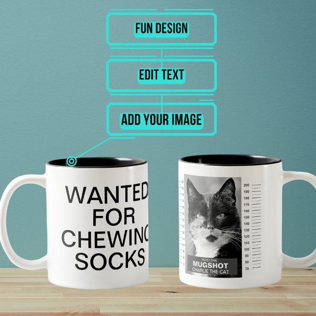 Cat Mug Shot Mug (Do you have a cat who has a certain reputation? Here is the perfect funny gift for them.)