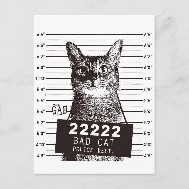 cat mugshot postcard (Front)