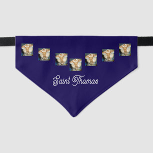 Cat Multiple Photo and Name Customise  Pet Bandana Collar