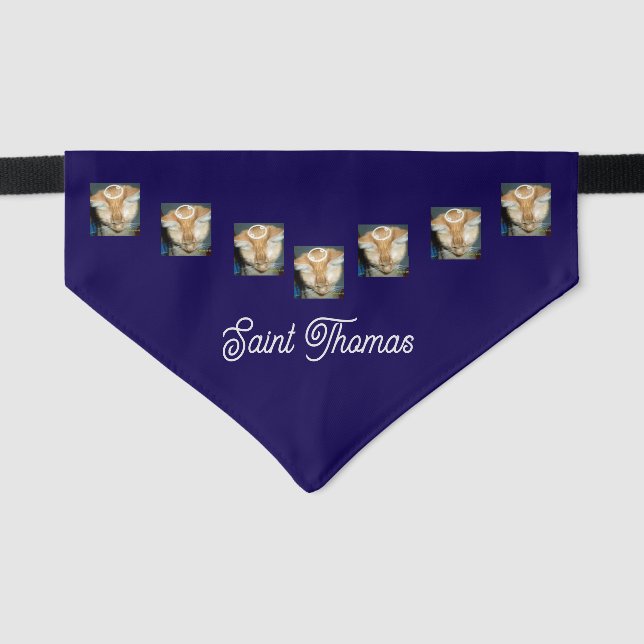 Cat Multiple Photo and Name Customise  Pet Bandana Collar (Front)